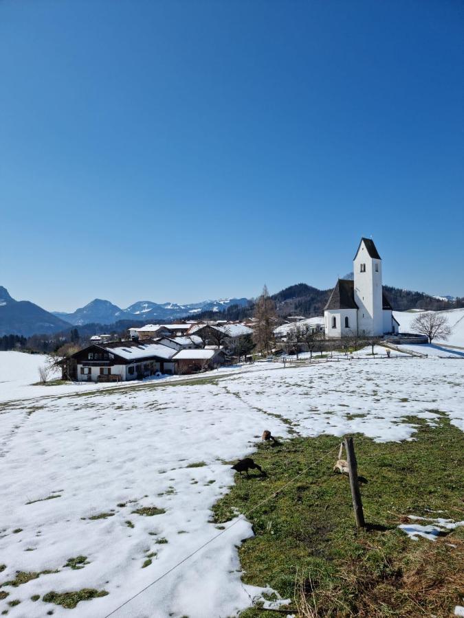Bauernhof Rieplhof Samerberg